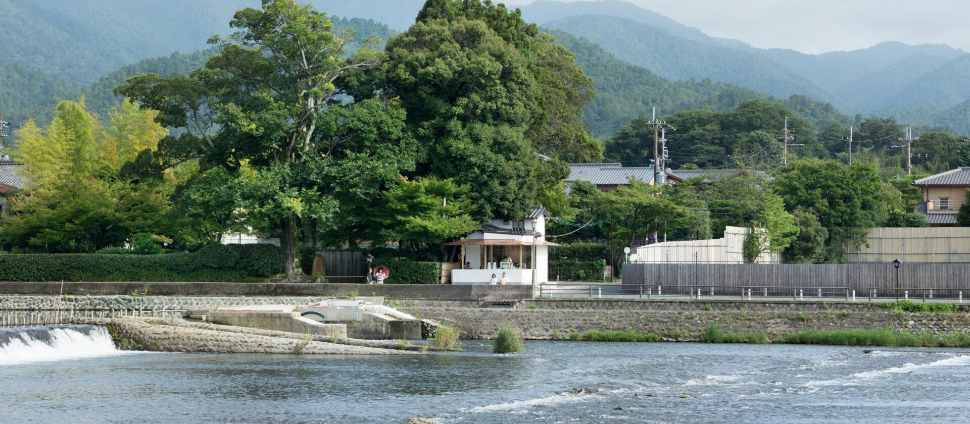 アラビカ京都嵐山なぜ人気？待ち時間回避と絶景ラテの真相【2026】