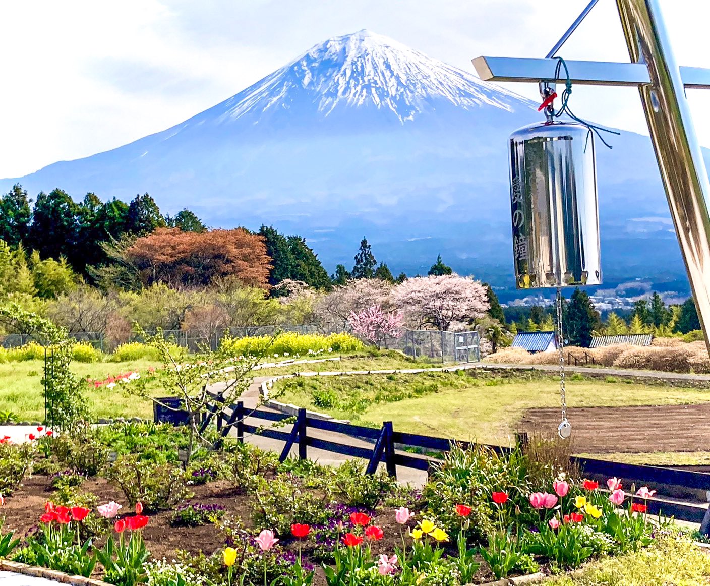 白糸自然公園が選ばれる理由とは？富士山絶景と無料の真相を徹底解説