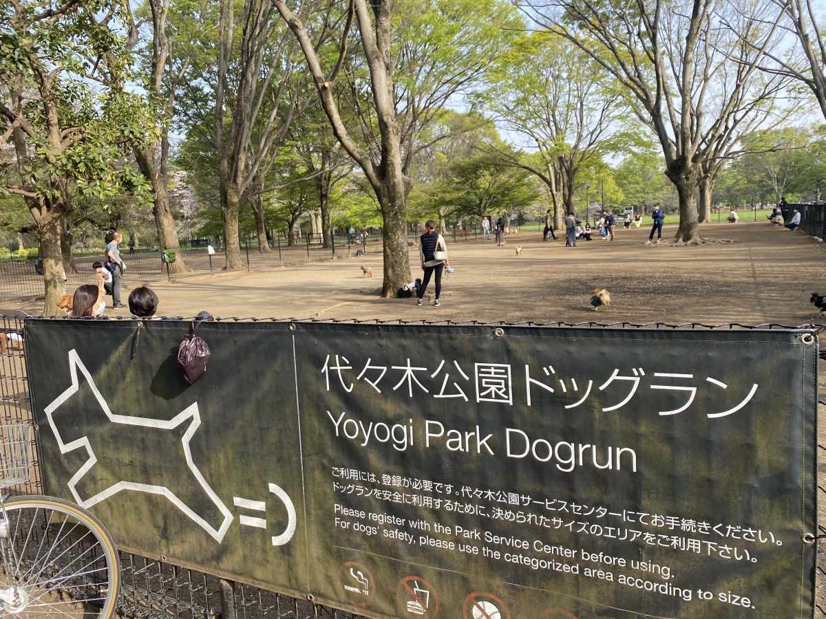 代々木公園ドッグランの利用規約と登録手続き・混雑回避の全貌