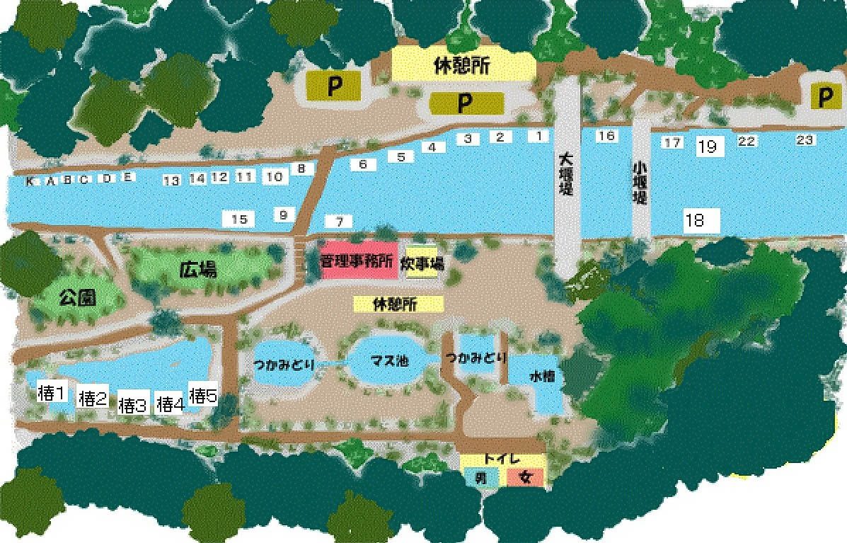 箱根・畑宿清流マス釣場の手ぶら攻略｜料金・Bbqと混雑回避の全貌
