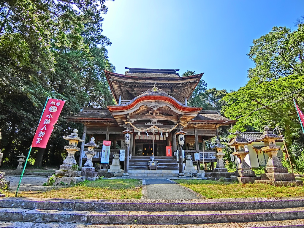 山口・鰐鳴八幡宮の彼岸花2026！見頃と駐車場混雑・名前の由来徹底解剖