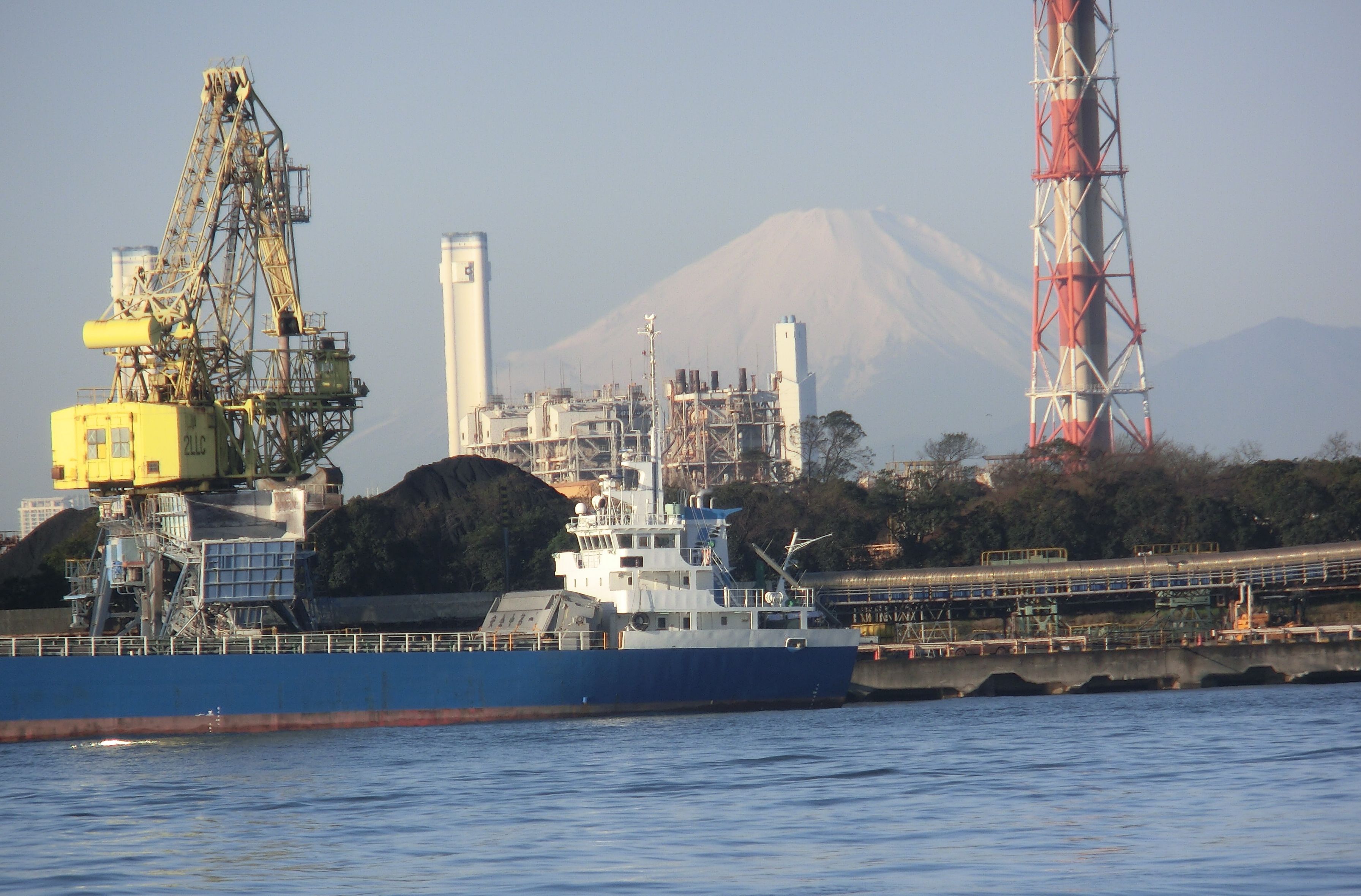 東扇島西公園の閉鎖噂の真相！2026最新釣果と満車時間を徹底解明