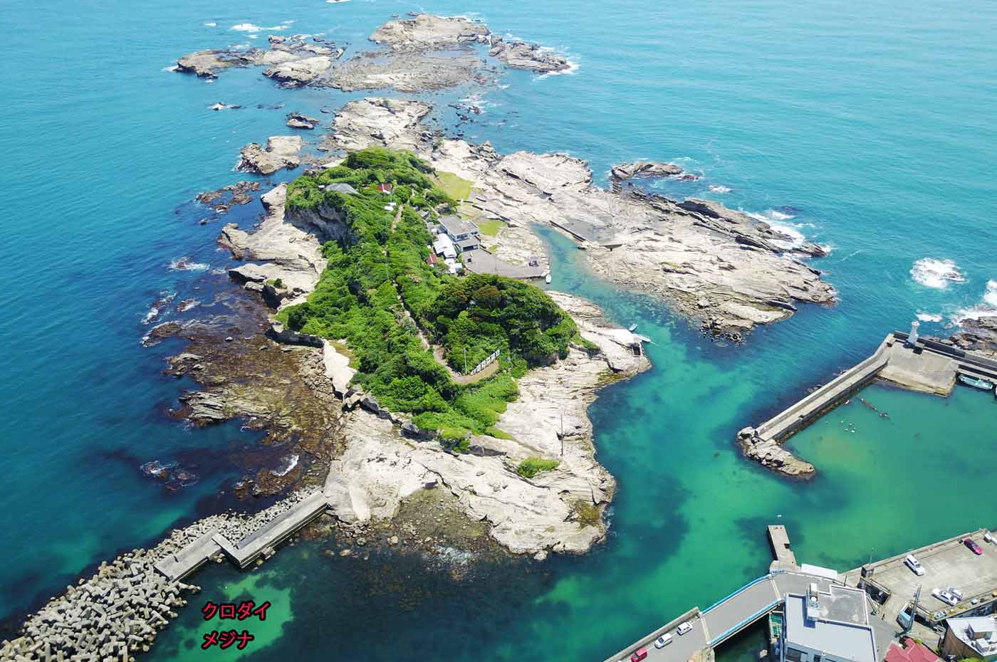仁右衛門島の現在は？渡し舟料金から頼朝隠れ穴・磯遊びまで徹底取材