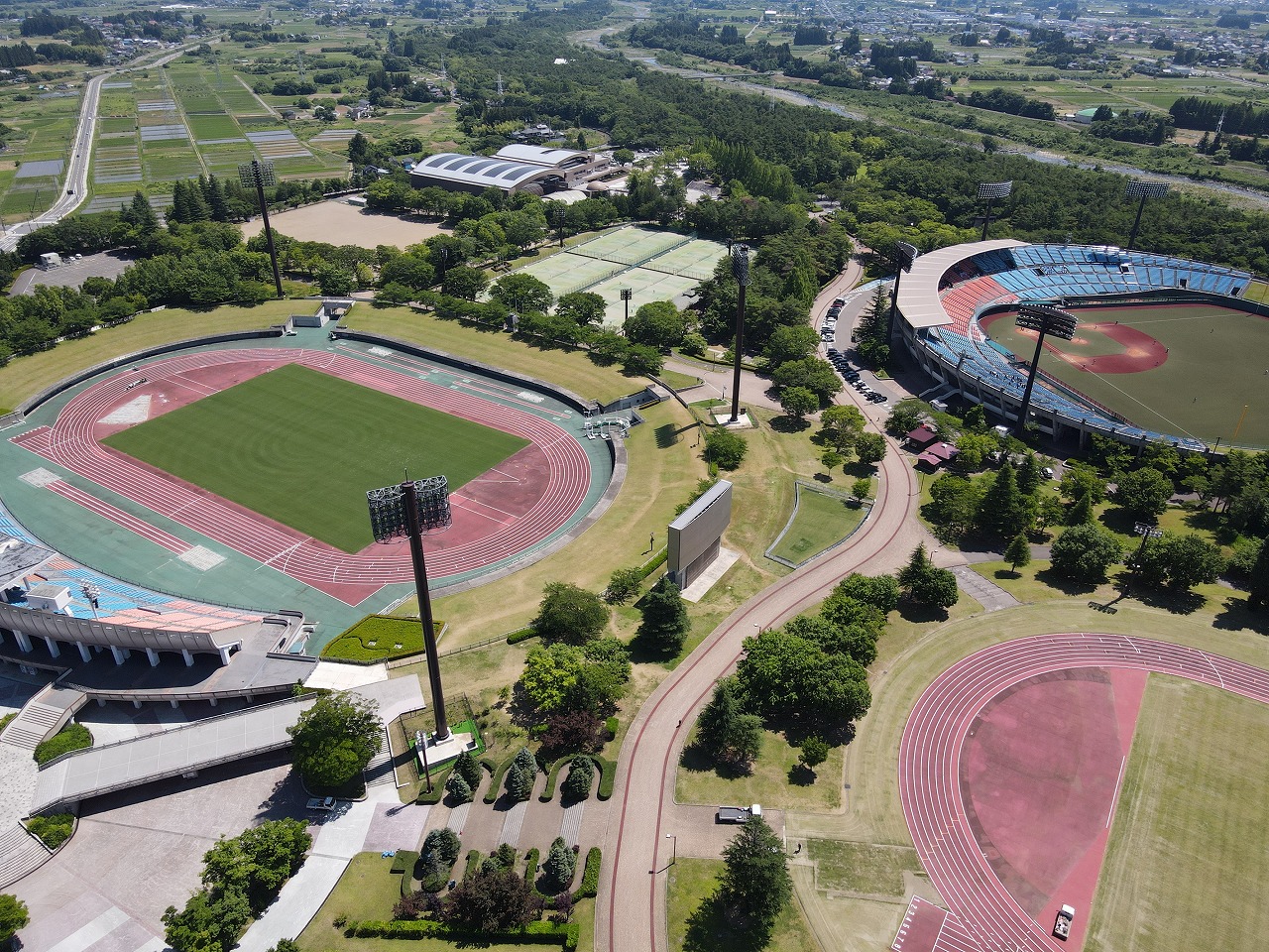 あづま総合運動公園の真価！イチョウ並木と遊具が呼ぶ熱狂と混雑の真相