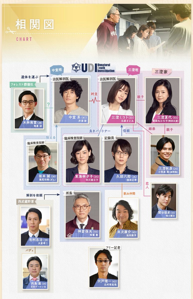 アンナチュラル相関図とキャスト相関を徹底解剖【2026最新】