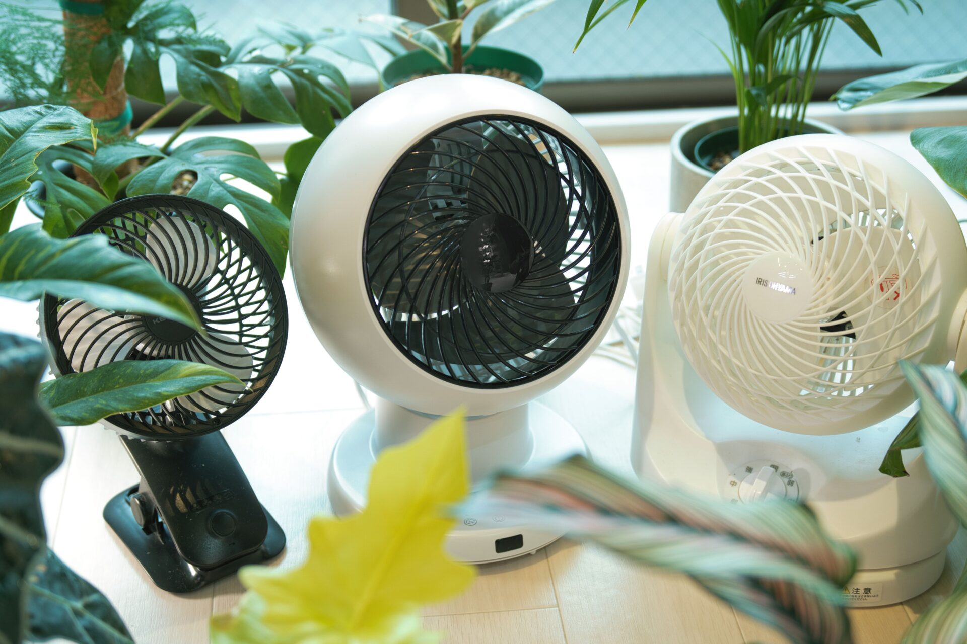 観葉植物に扇風機は直風Ng？枯らさず元気に育てる風量と正しい設定術