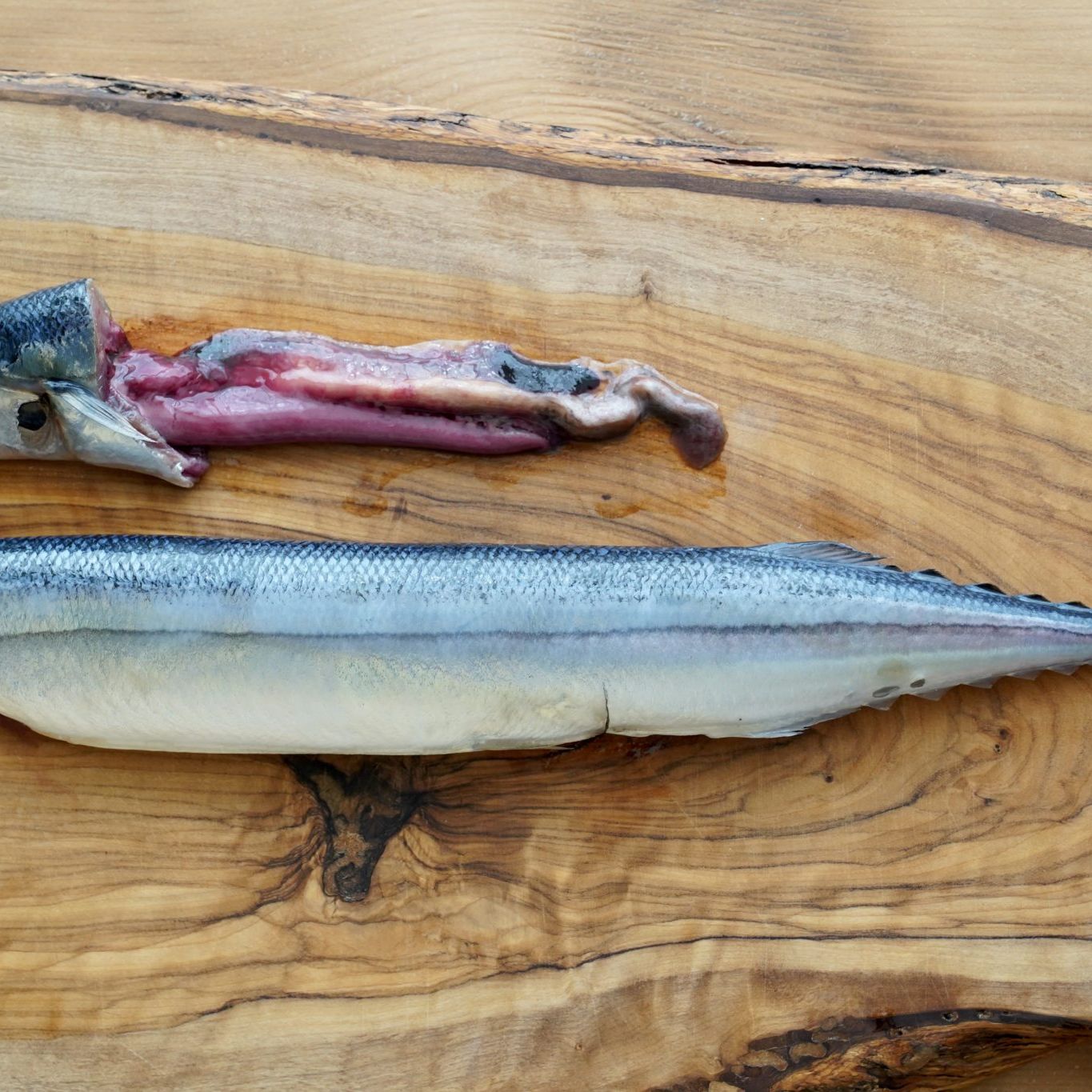 秋刀魚の内臓の取り方決定版！割り箸で抜く裏技と臭みを消す下処理術