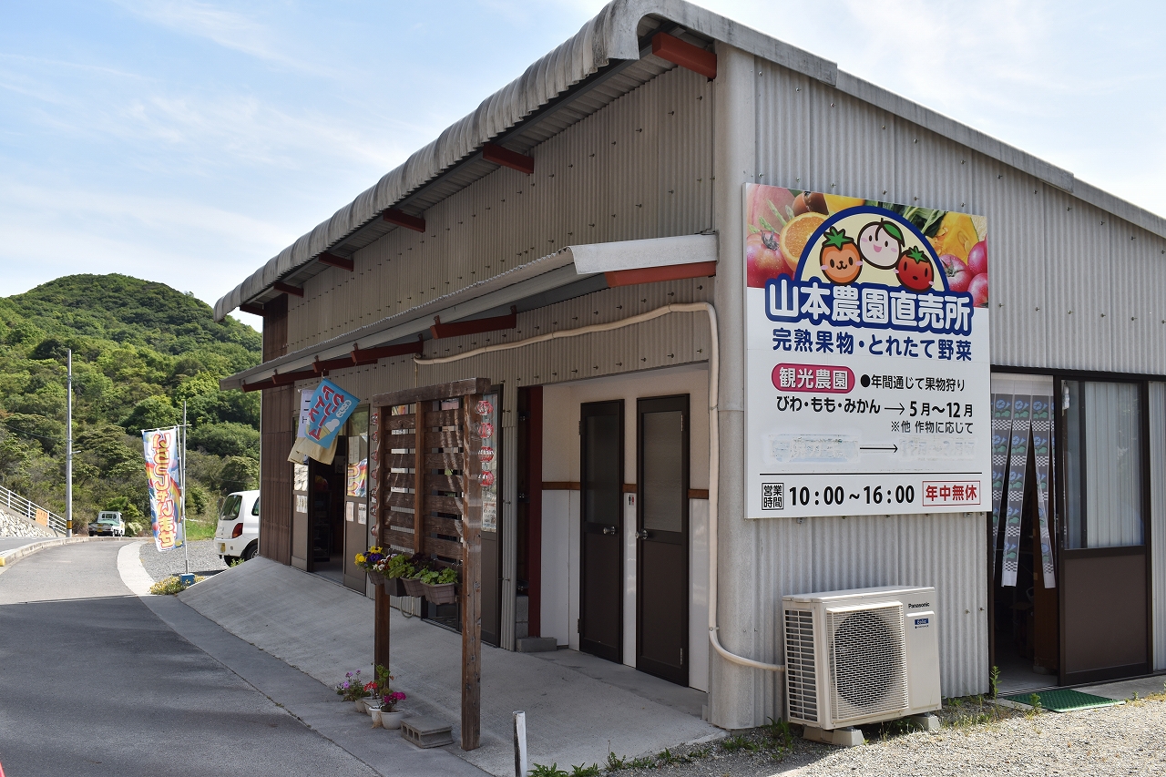 山本農園直売所の魅力と旬を徹底解剖！営業時間や評判まとめ【2026】