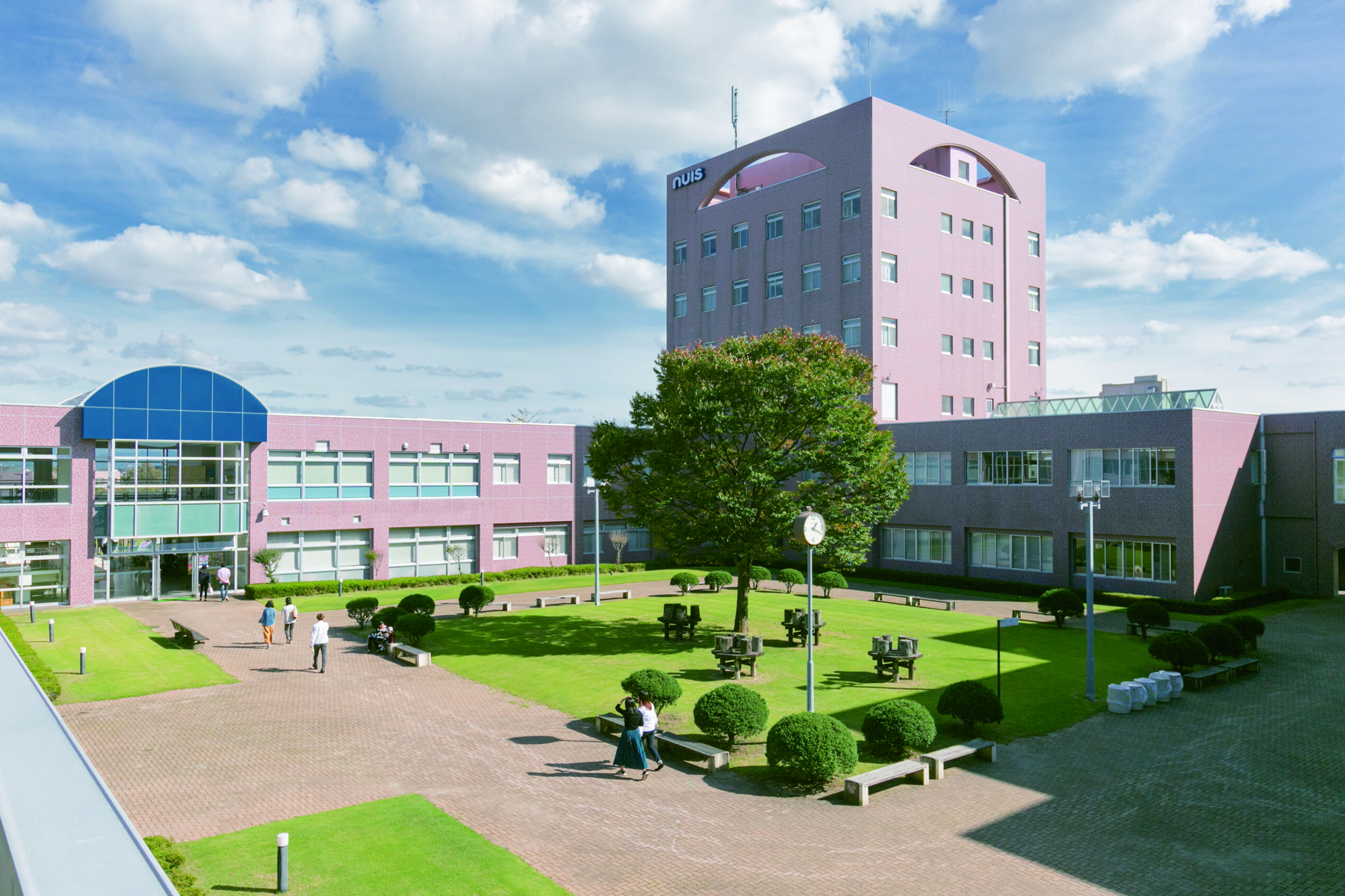 新潟国際情報大学の評判と就職実績！Fラン噂や偏差値の真実を徹底解剖