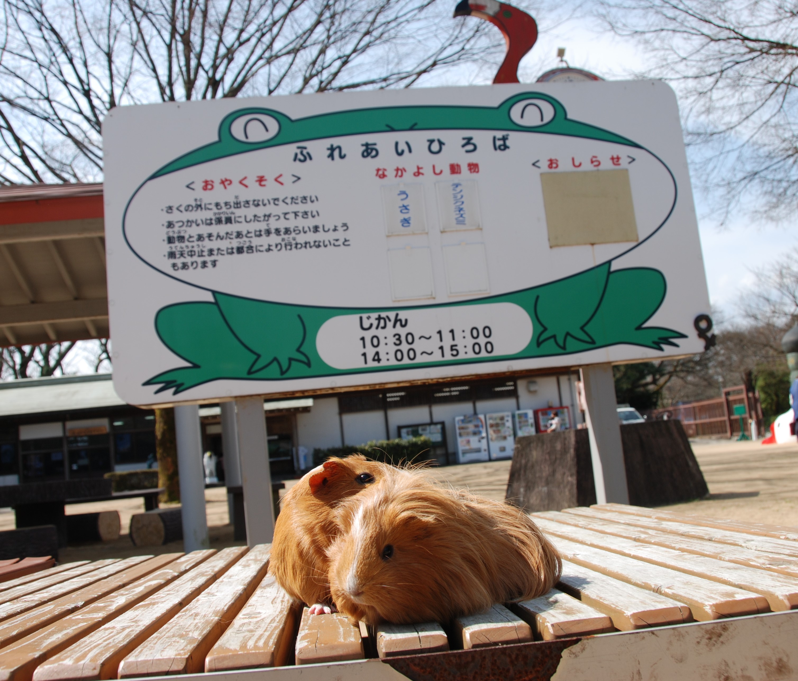 本当に入園無料？高岡古城公園動物園の魅力と2026年最新攻略ガイド