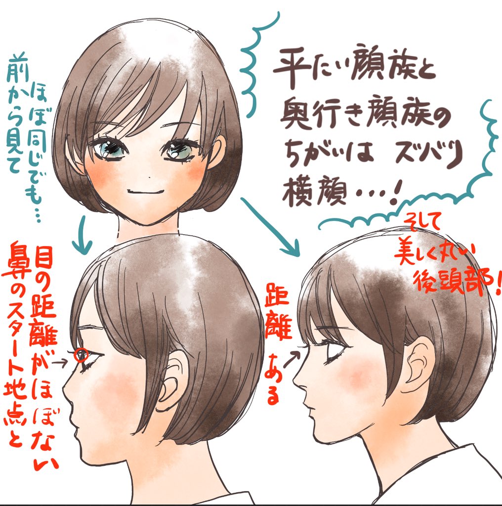 広瀬すずは何顔？猫顔・犬顔の論争に終止符！プロの診断と黄金比の秘密