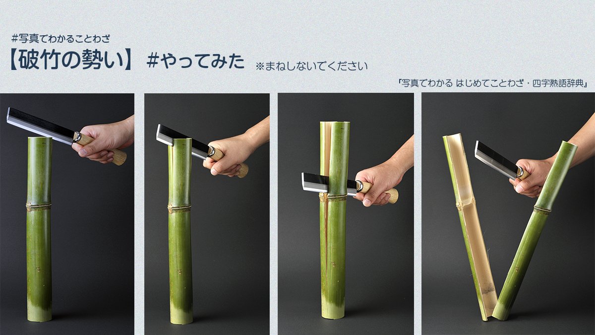 破竹の勢いの真実！飛ぶ鳥を落とす勢いとの決定的な違いと正しい使い方