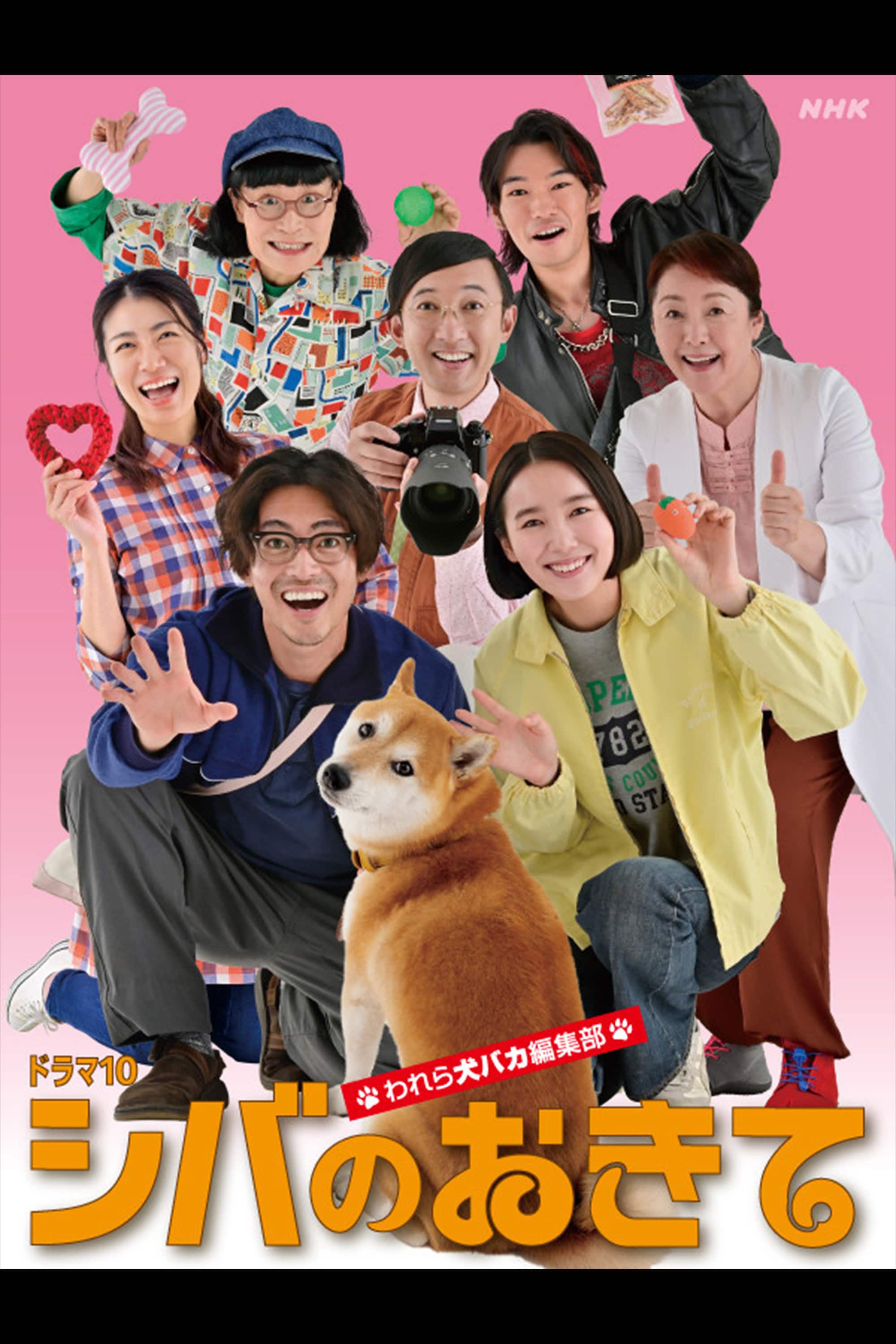 柴犬ドラマが愛される理由とは？名作『柴公園』と2026年最新配信事情