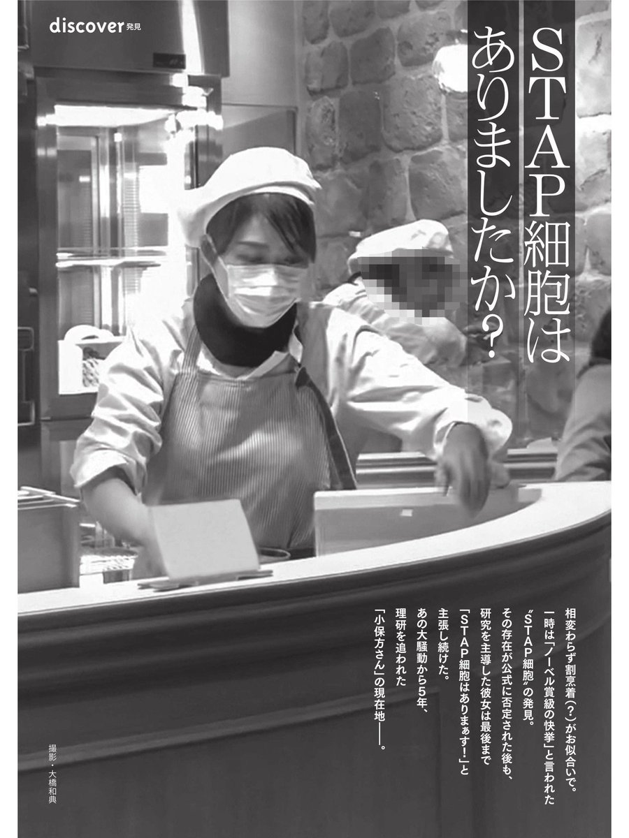 小保方晴子の現在2026｜結婚や洋菓子店勤務の真相と今の姿を追う
