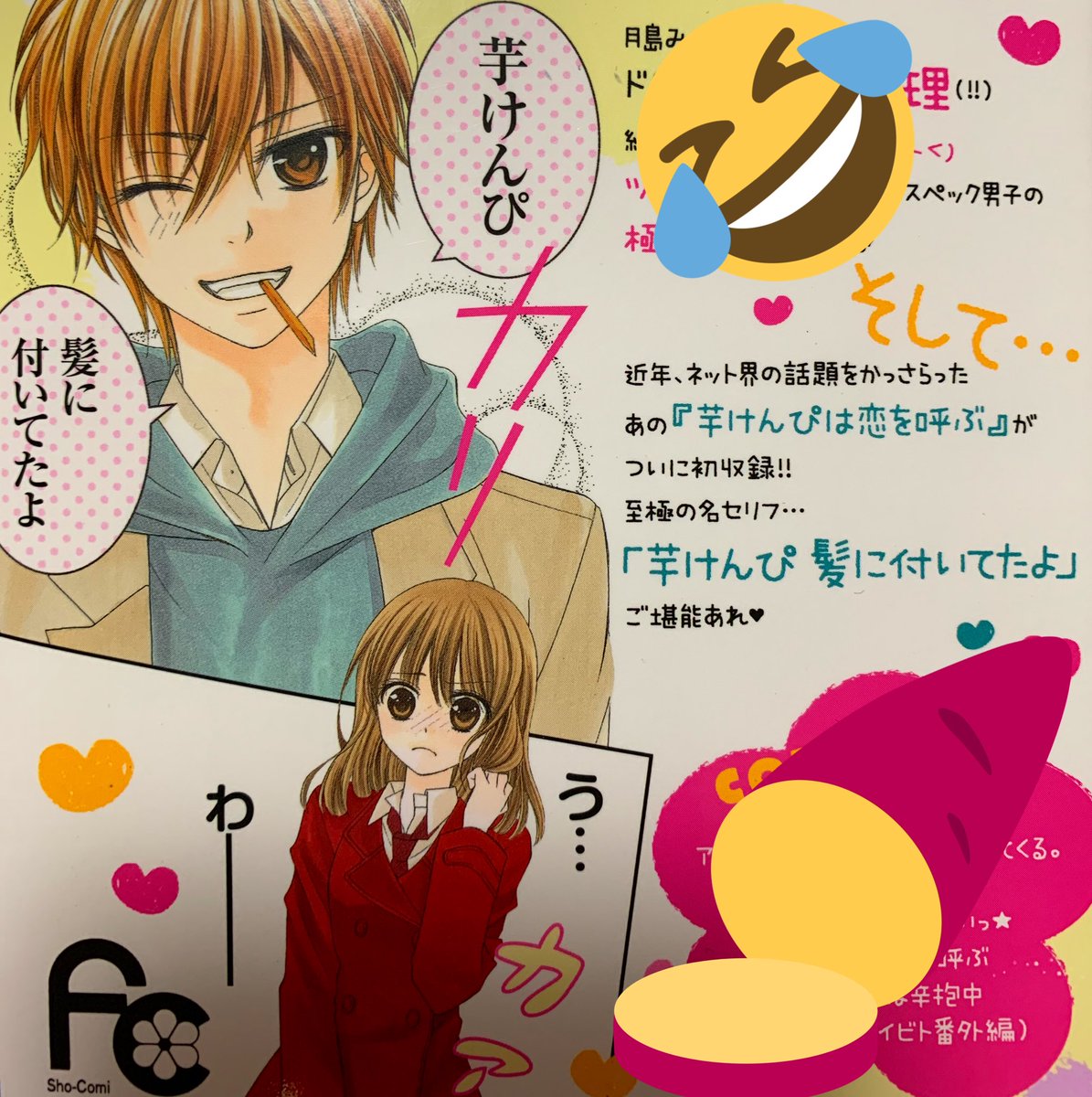 「髪に芋けんぴついてるよ」元ネタは？伝説の少女漫画と理由を徹底解剖