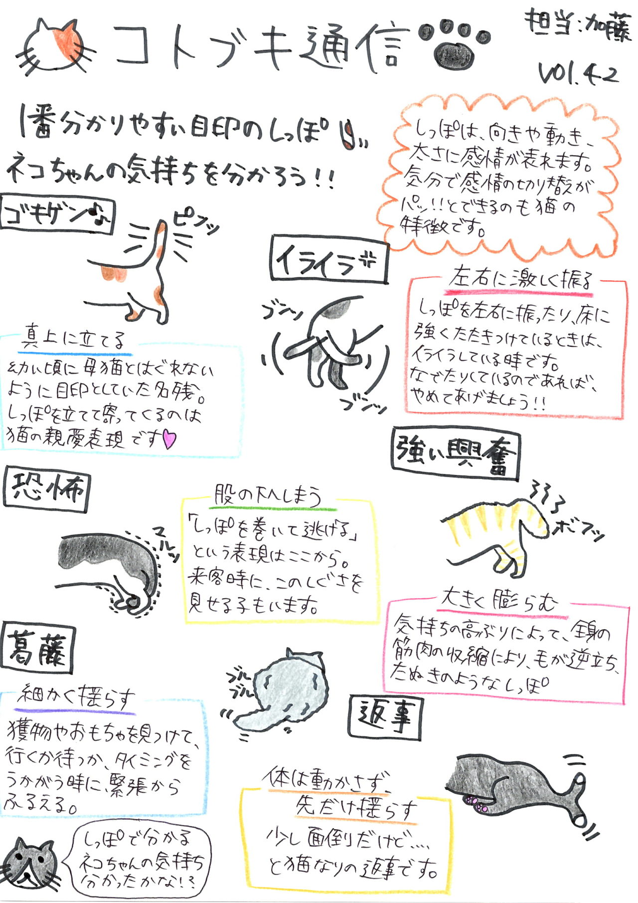 猫が尻尾を左右に振る真意とは？機嫌の見分け方と怒りのサイン