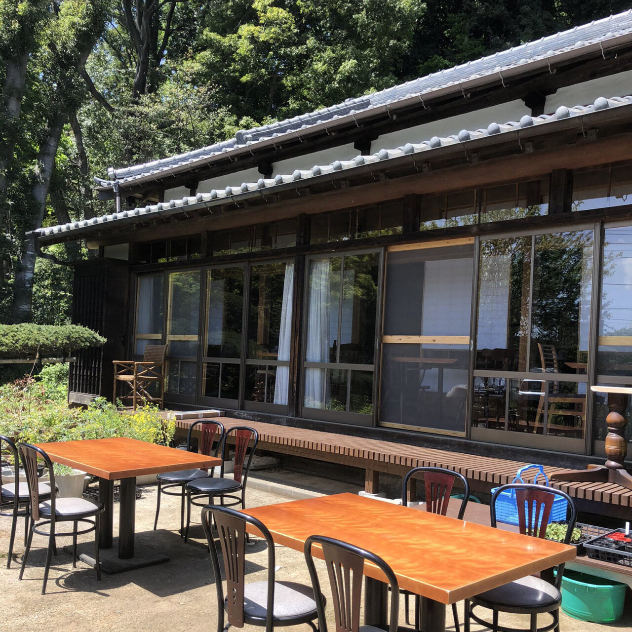 青木農園の農家料理が人を惹きつける理由と口コミ評判の真相【2026】