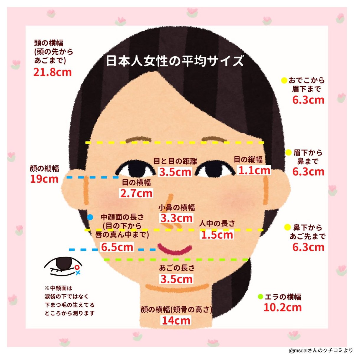 中顔面の長さ平均は何センチ？目の下から唇の黄金比と短縮術2026