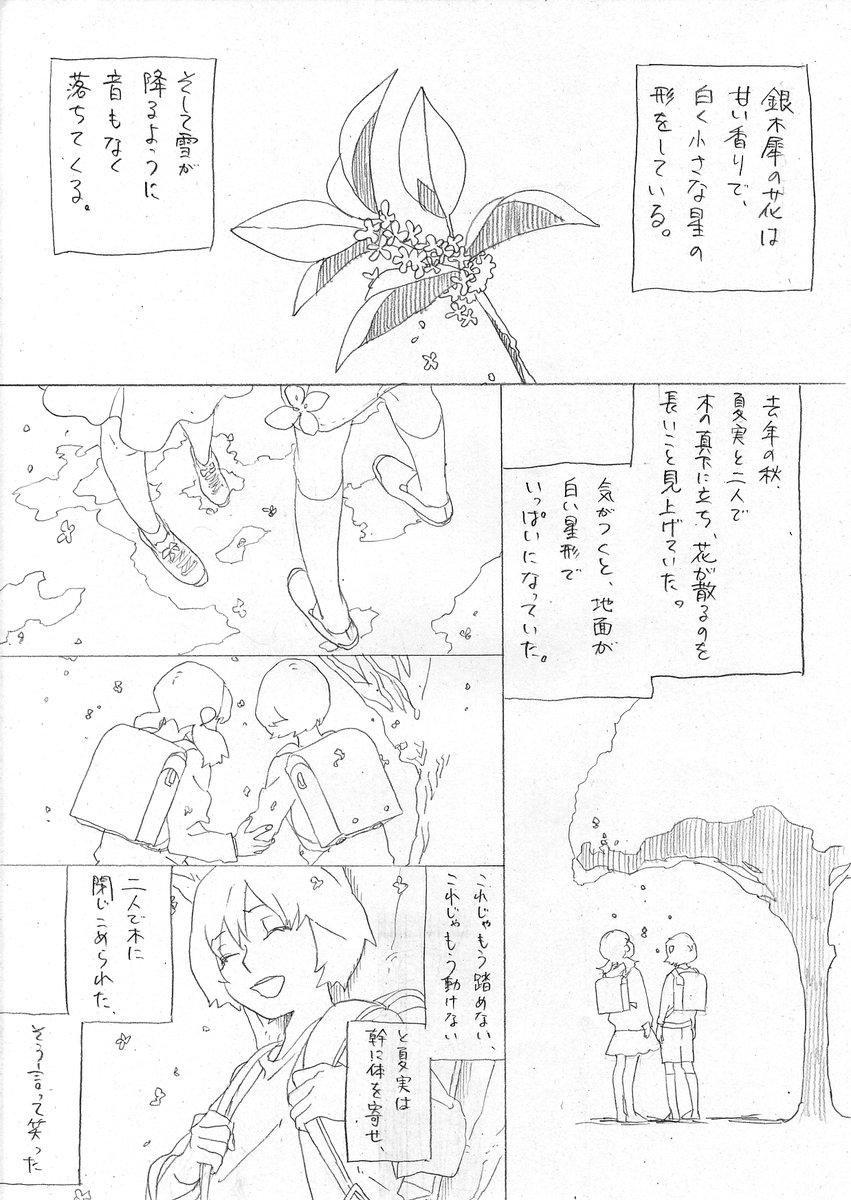 星の花が降るころに続きはある？夏美と戸部君のその後と結末を徹底解説