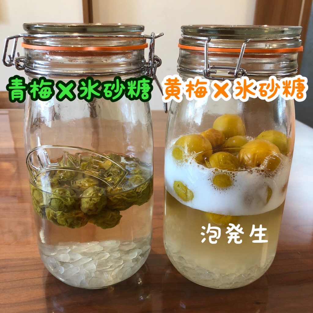 梅シロップの泡は失敗？原因と今すぐできる加熱殺菌の救済法