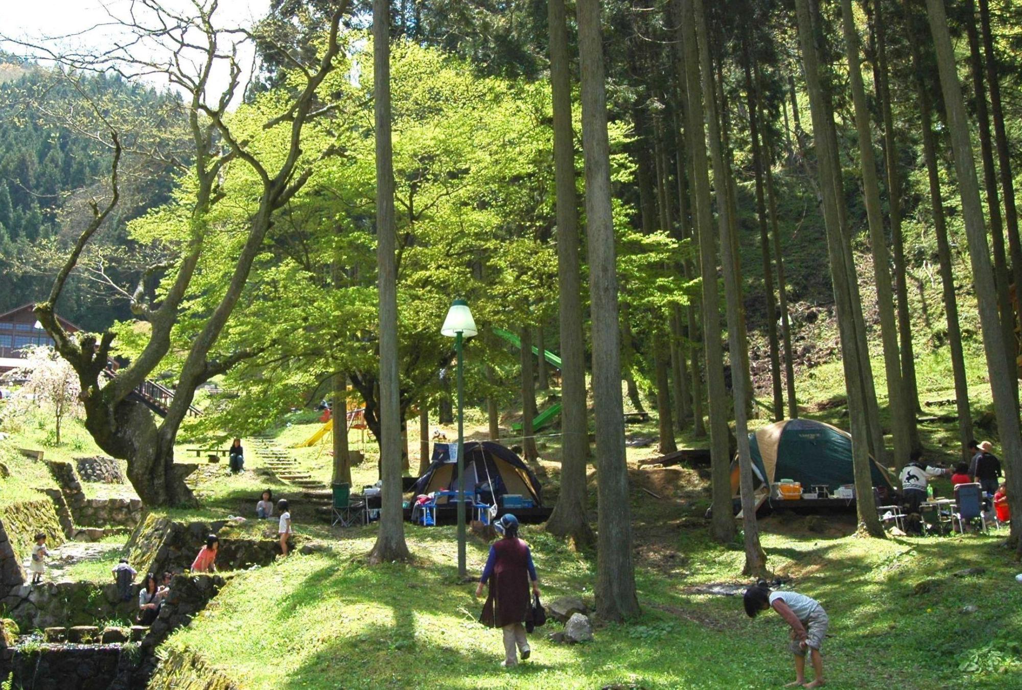 京都唯一の天然洞窟！質志鐘乳洞公園の魅力と注意点を徹底解剖