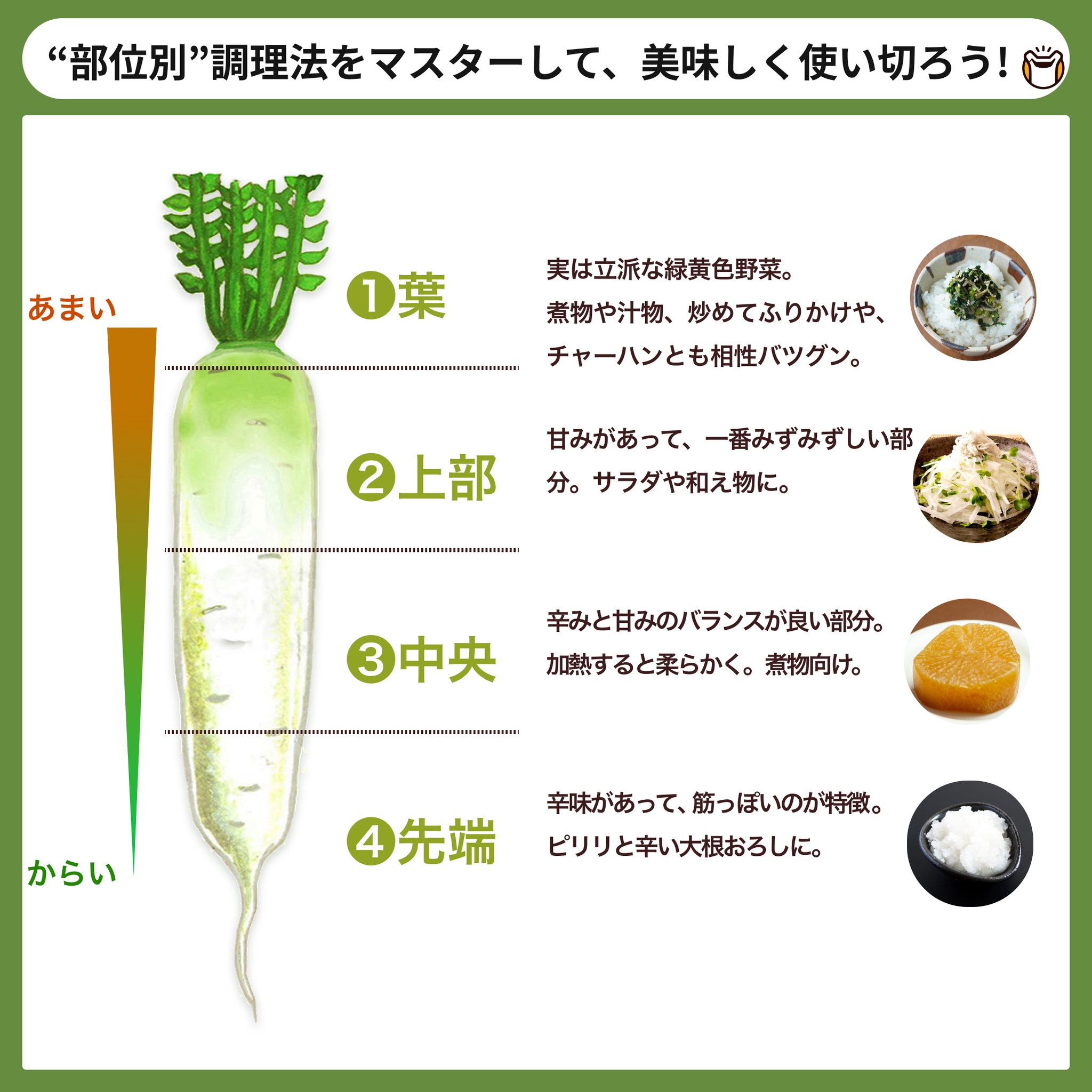 大根の煮物に最適な部位はどこ？味染みと食感が劇的変化する理由
