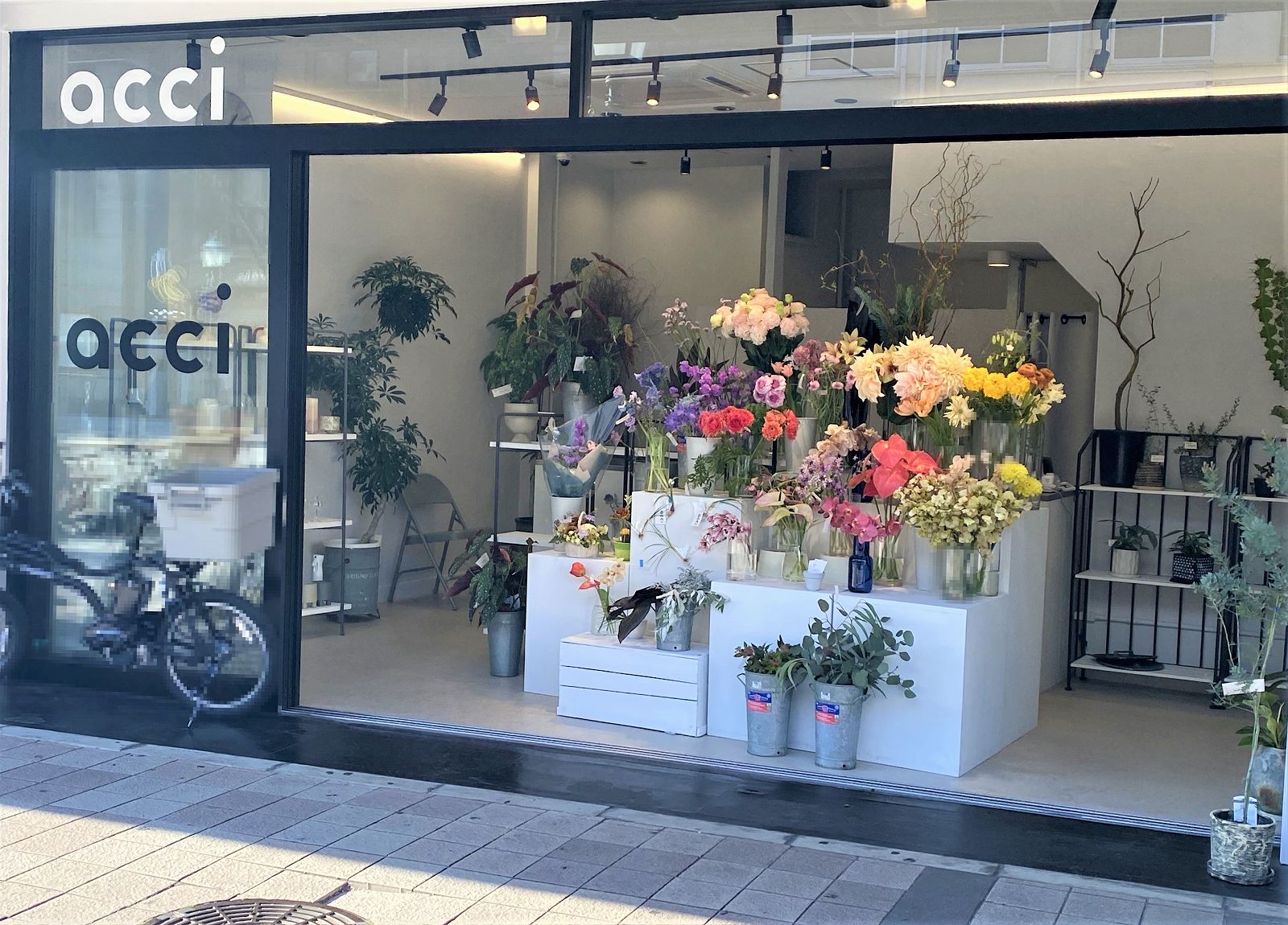 神戸元町のおしゃれ花屋特集！当日配達やギフトの決定版【2026】