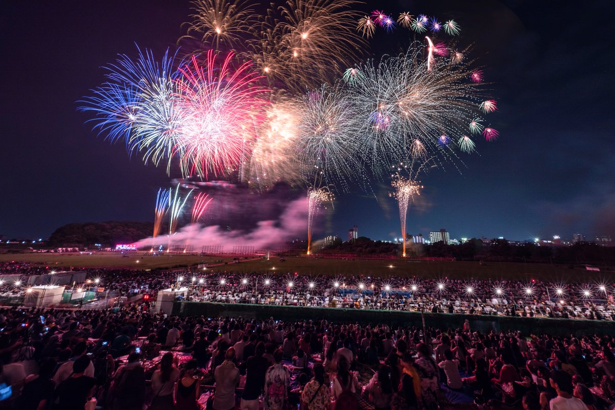 【プレイバック2026】静寂を破った渡良瀬の夜空——足利花火大会が魅せた復活のドラマと今へ続く革新