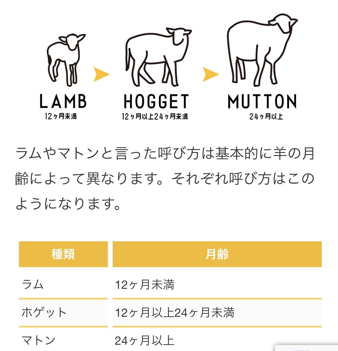 ラムとマトンの違いとは？月齢や味の差からホゲットの真相まで徹底解明