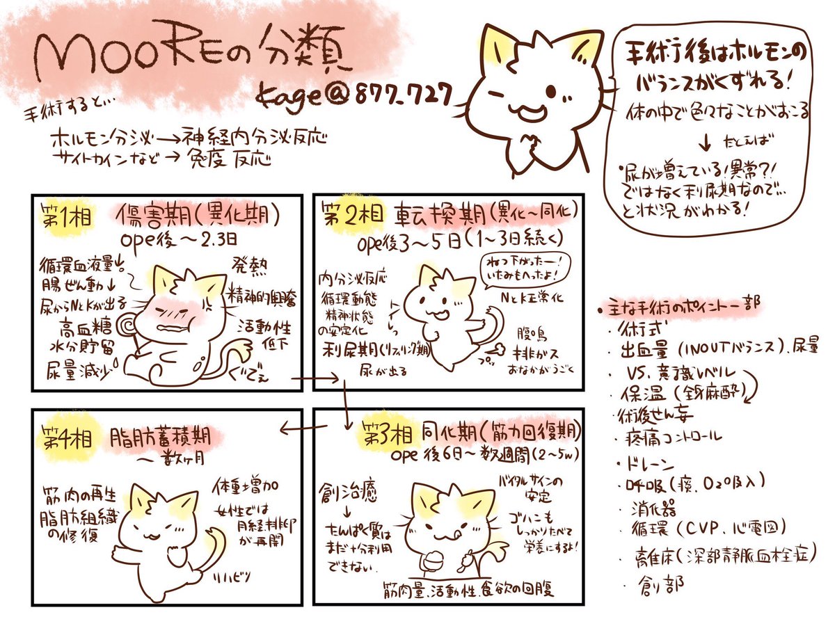 ムーアの分類・術後回復4相の全貌｜看護現場の観察と国試対策