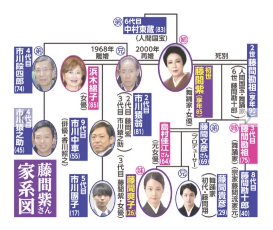 藤間爽子の家系図が豪華すぎ！初代藤間紫や歌舞伎澤瀉屋との関係徹底解説