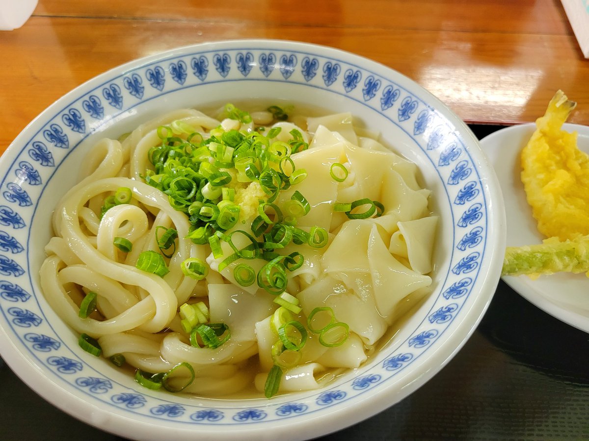 【2026年最新現地レポ】香川うどん界の「静かなる怪物」はいかにして全国を熱狂させたか：なぜ今、大島うどんの行列が止まらないのか
