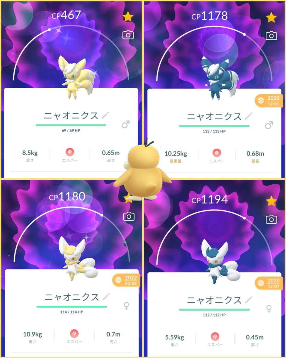 ニャオニクス色違いの性別差と見分け方！金白の衝撃とSv厳選術