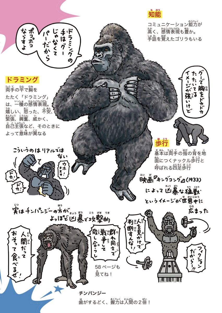ゴリラのドラミングは威嚇じゃない！胸を叩く驚きの意味と手の秘密