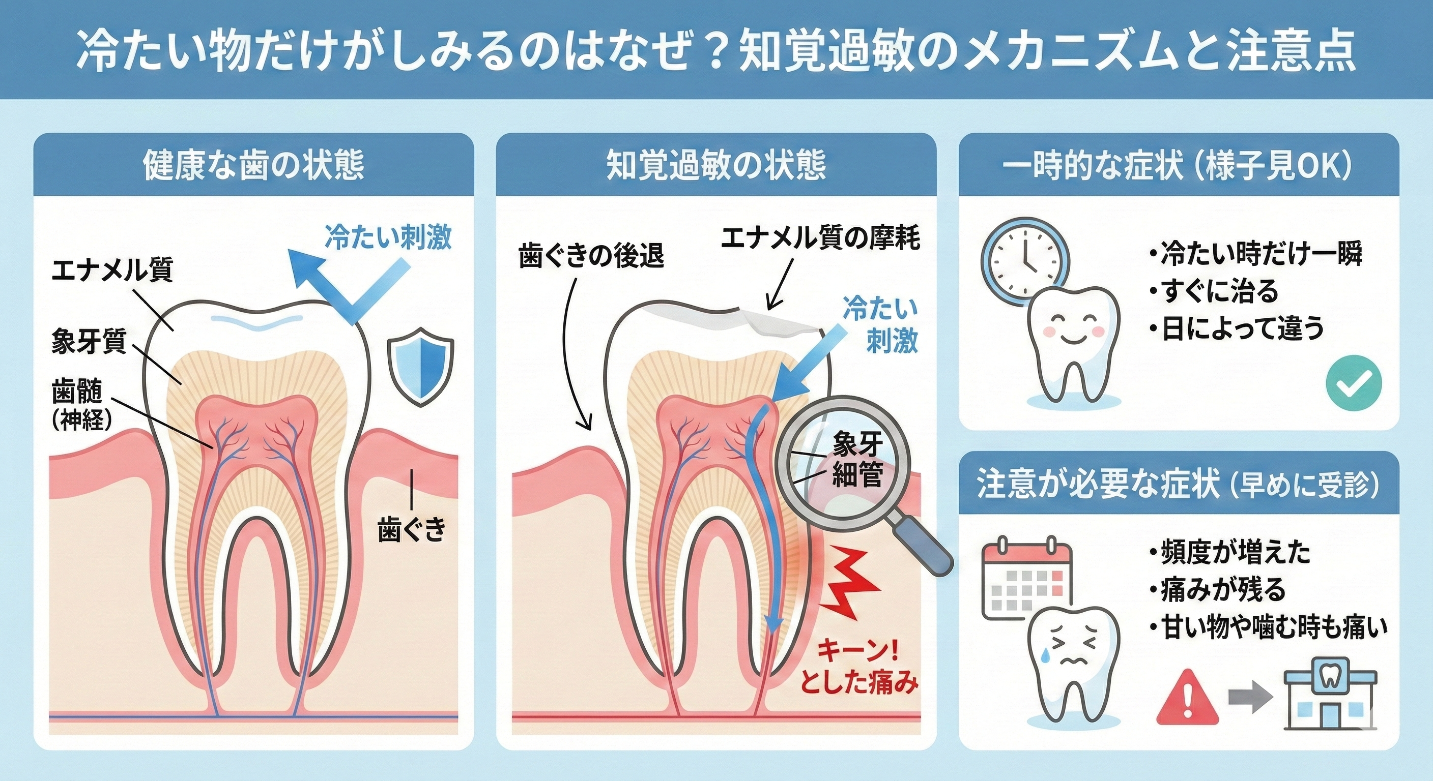 歯がしみる知覚過敏の原因と治し方｜2026年最新の予防ケア徹底解説
