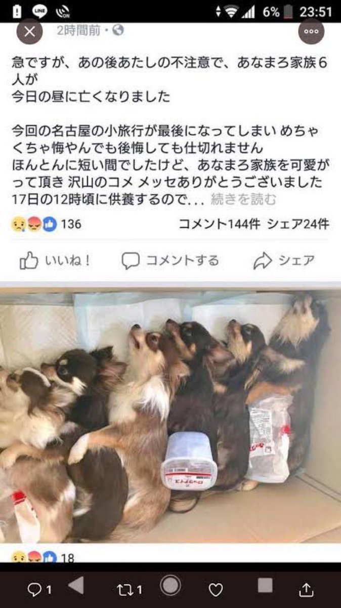 あなまろの家族構成と本名・素顔は？両親や兄弟の真相を徹底調査