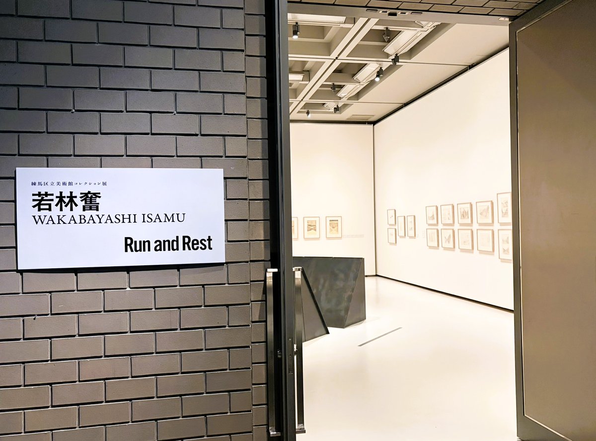 練馬区立美術館建て替えの全貌！平田晃久設計と2026年最新動向