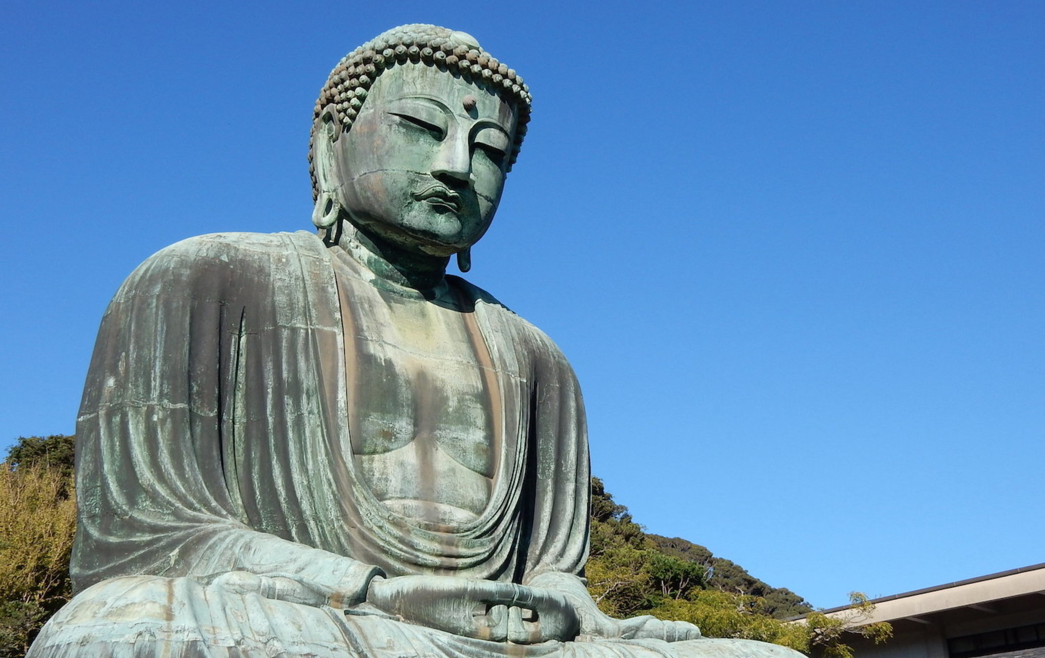 鎌倉大仏はなぜ野ざらしなのか？津波の真相と胎内拝観・最新ガイド