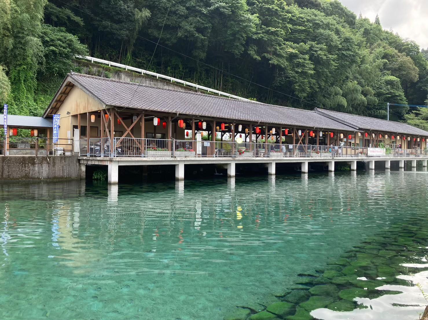 鹿児島・湧水町「竹中池そうめん流し」完全攻略！混雑回避と名水の真価