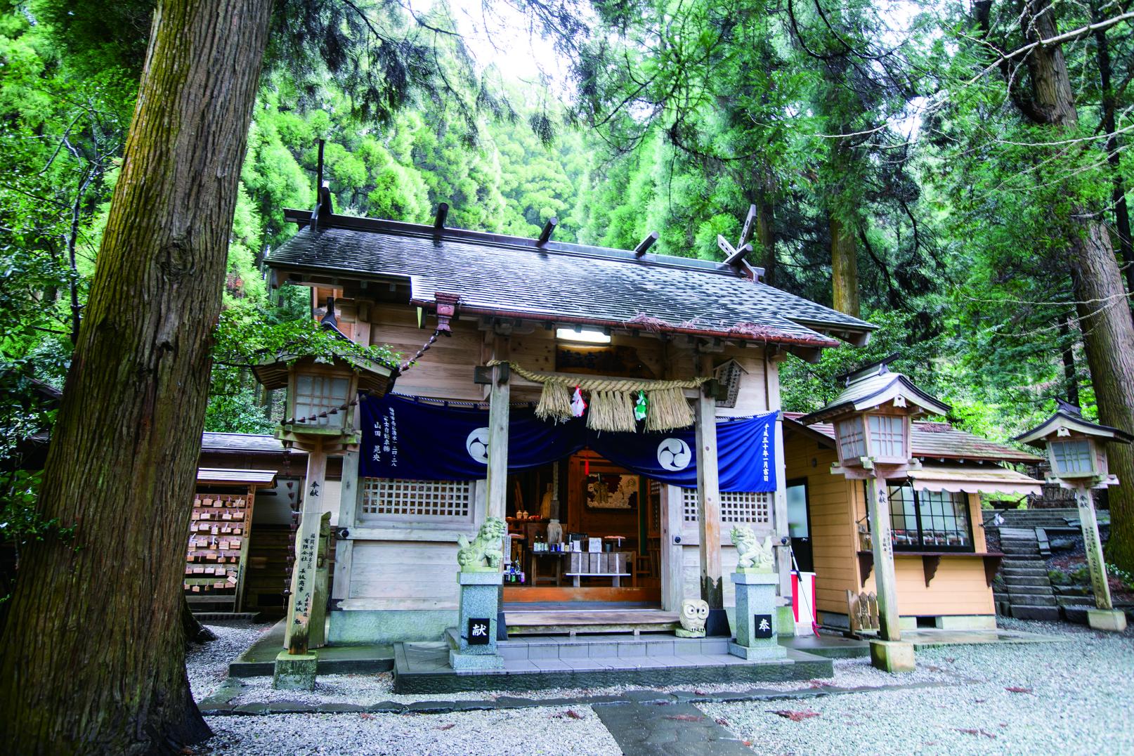 荒立神社のご利益と不思議体験の真相｜芸能人が通う高千穂の聖地