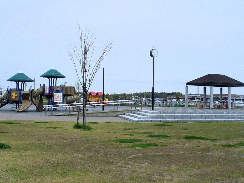 宇都宮インターパーク中央公園はなぜ人気？大型遊具と駐車場の混雑を徹底解説！