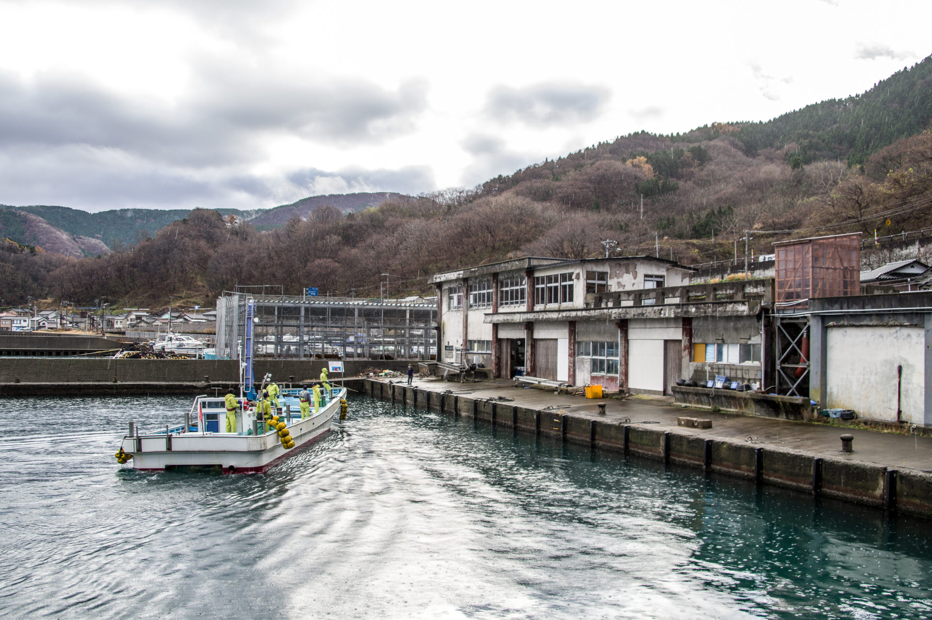 堅苔沢漁港の釣り完全攻略｜アオリイカ・クロダイ釣果と立入禁止の真相