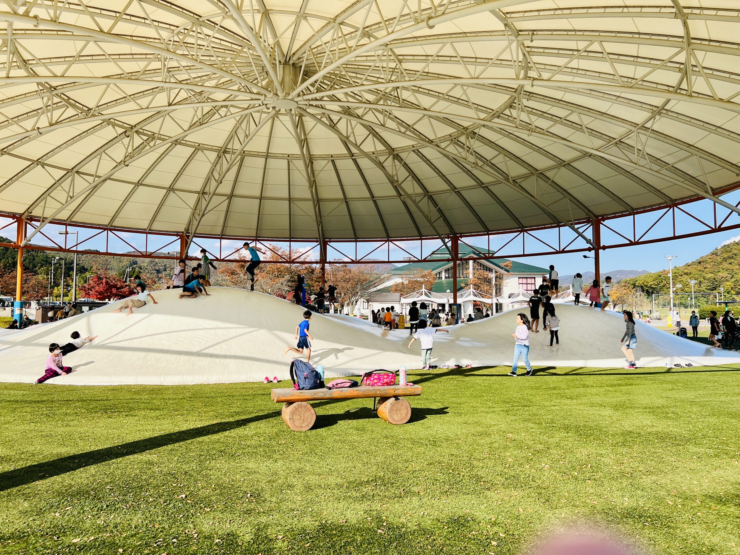 十六沼公園の全貌を徹底解剖！混雑対策から遊具の穴場まで完全ガイド