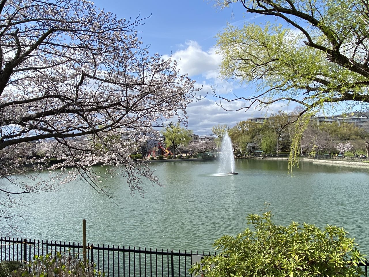 【2026年最新ルポ】名古屋・栄東の「池田公園」が劇的変化！アジアの熱気と都市再生が交差する多文化拠点の現在地