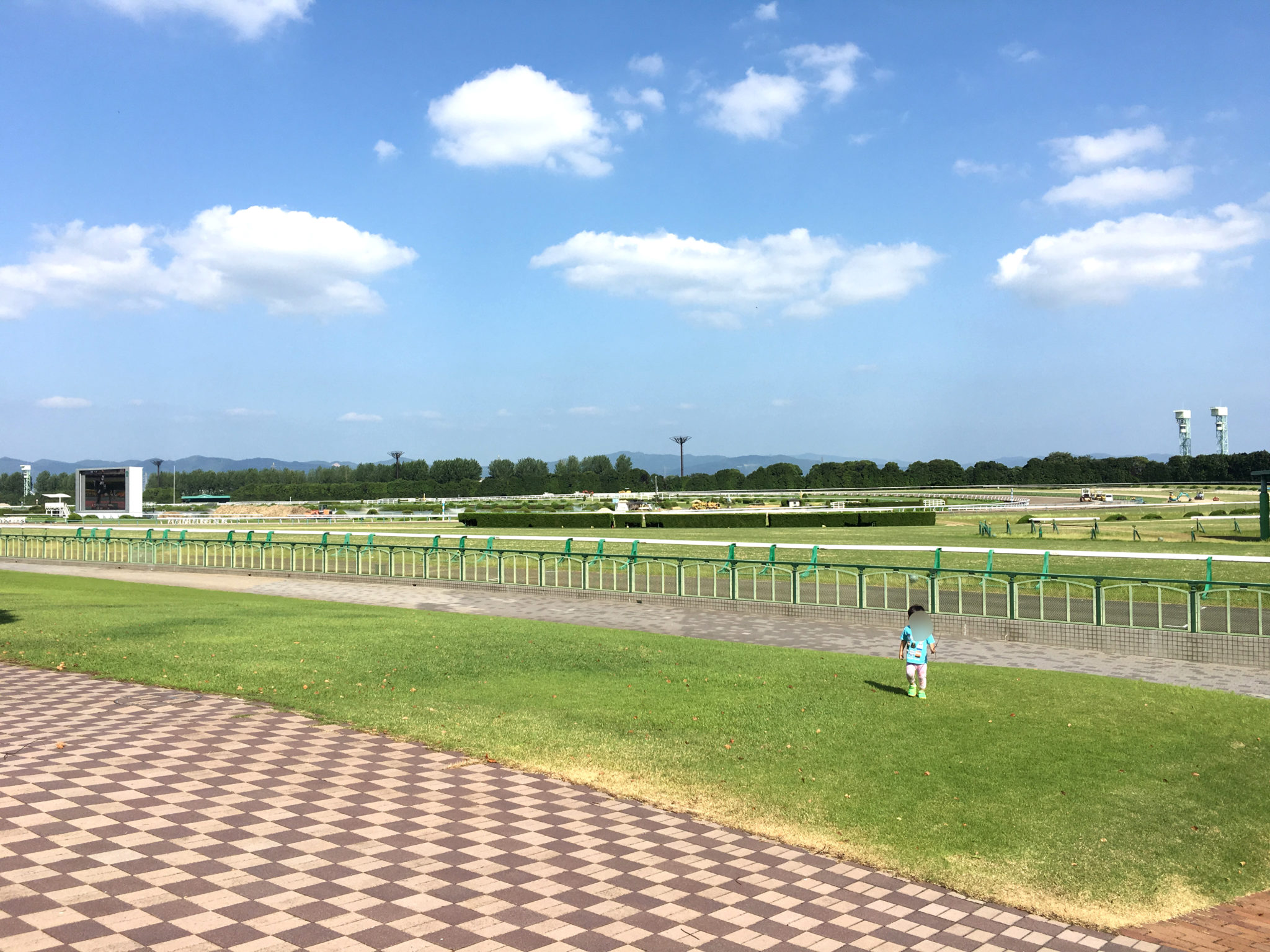 緑の広場は本当に自由？Bbq・ボール遊びの最新ルールと穴場利用法