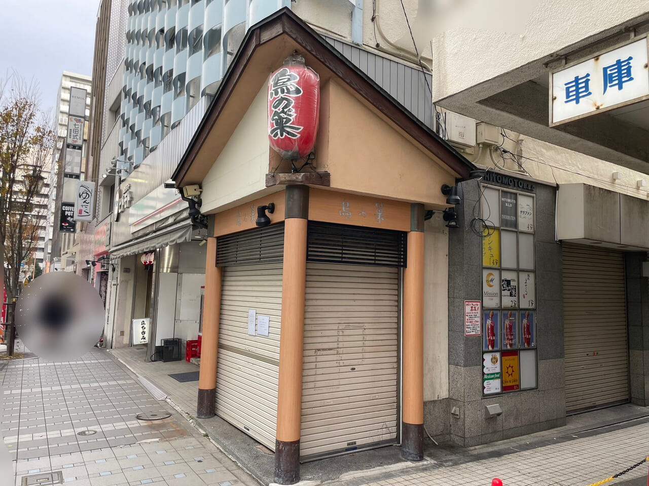 横須賀で愛される「鳥の巣」の真相！名物焼き鳥と最新評判を徹底取材