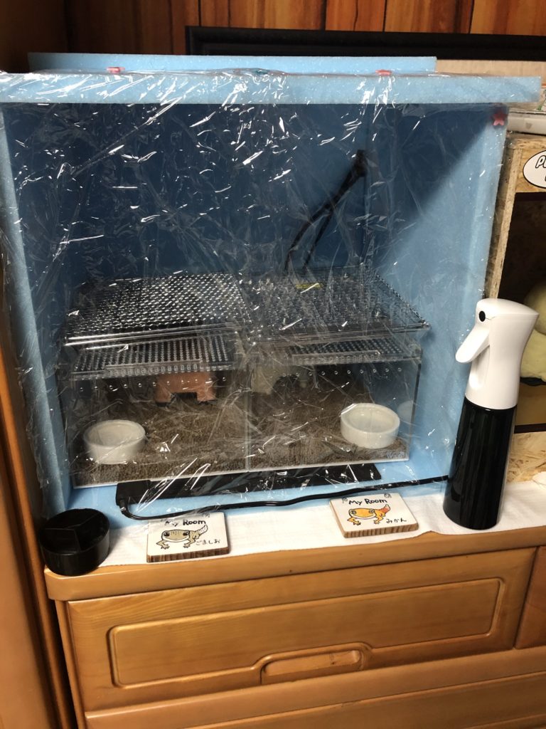 爬虫類温室のスタイロフォーム保温術！電気代削減と火災リスクの真実