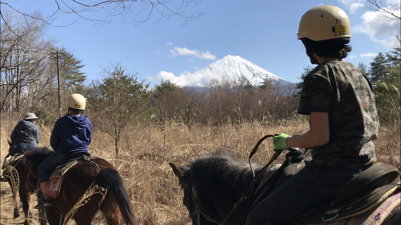 紅葉台木曽馬牧場の口コミ評判は本当？外乗・流鏑馬の料金と魅力を徹底解説