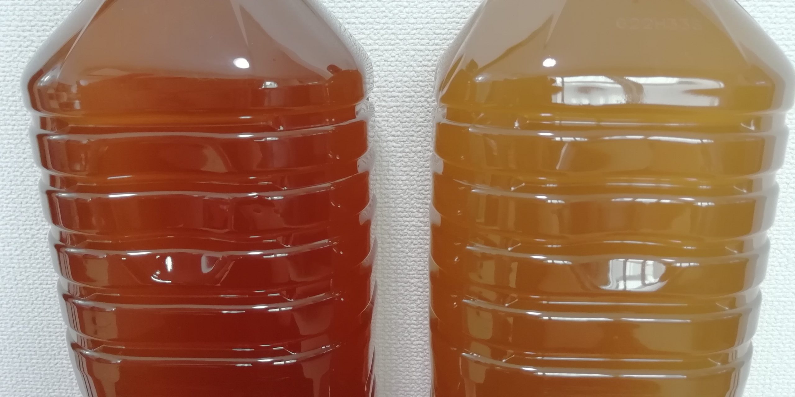 賞味期限切れのお茶は飲める？1年過ぎたペットボトルや茶葉の安全基準