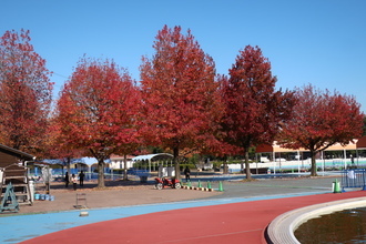 【まとめ】 加須 は な さき 公園 2026年最新プロフィール #640
